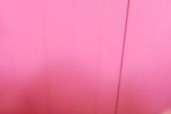 Σωτήρης Καποτης : μέσα σε σάκο σε χαντάκι βρέθηκαν 5 Κουταβάκια  επάνω από το Νεκροταφείο Βόνιτσας