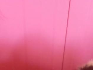 Φωτογραφία για Σωτήρης Καποτης : μέσα σε σάκο σε χαντάκι βρέθηκαν 5 Κουταβάκια επάνω από το Νεκροταφείο Βόνιτσας