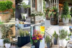 Διαμορφώσεις εξωτερικού χώρου με ψηλές γλάστρες