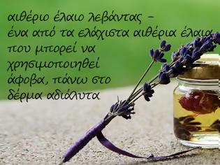 Φωτογραφία για Το πολύτιμο αιθέριο έλαιo της λεβάντας είναι πολύτιμο και για το δέρμα μας!