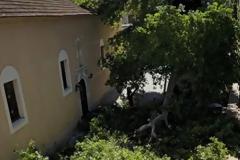 Ντίνος Στυλιανός: Ο πλάτανος του Αγίου Σπυρίδωνα  πρέπει να χαθεί;