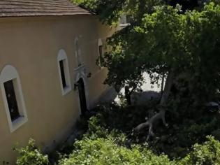 Φωτογραφία για Ντίνος Στυλιανός: Ο πλάτανος του Αγίου Σπυρίδωνα  πρέπει να χαθεί;