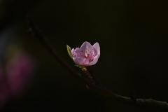 Μαθαίνω - ας γνωρίσουμε διάφορες καταστάσεις του οργανισμού μας (μέρος πρώτο)