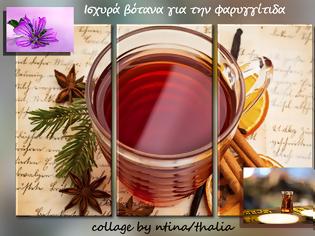 Φωτογραφία για Ισχυρά βότανα για την φαρυγγίτιδα και πως τα χρησιμοποιώ