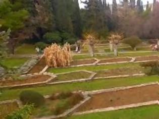 Φωτογραφία για Σχολική ζωή: Επίσκεψη στον Βοτανικό Κήπο Διομήδους