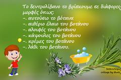 Για τα πόδια μας – ποδόλουτρο με έγχυμα δεντρολίβανου
