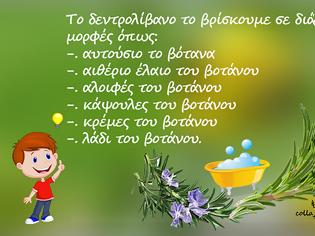 Φωτογραφία για Για τα πόδια μας – ποδόλουτρο με έγχυμα δεντρολίβανου