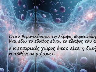 Φωτογραφία για Πως να βοηθάμε το λεμφικό μας σύστημα στο πολύτιμό του έργο!