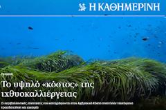 Εφημερίδα «ΚΑΘΗΜΕΡΙΝΗ»: Το υψηλό «κόστος» της ιχθυοκαλλιέργειας. Οι περιβαλλοντικές επιπτώσεις που καταγράφονται στον Αμβρακικό Κόλπο αποτελούν ταυτόχρονα προειδοποίηση και ευκαιρία.