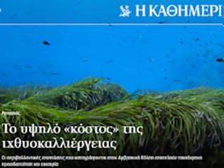 Φωτογραφία για Εφημερίδα «ΚΑΘΗΜΕΡΙΝΗ»: Το υψηλό «κόστος» της ιχθυοκαλλιέργειας. Οι περιβαλλοντικές επιπτώσεις που καταγράφονται στον Αμβρακικό Κόλπο αποτελούν ταυτόχρονα προειδοποίηση και ευκαιρία.