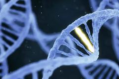 ΚΡΥΦΟΣ ΚΩΔΙΚΑΣ ΣΤΟ ΑΝΘΡΩΠΙΝΟ DNA ΑΠΟΚΑΛΥΠΤΕΙ ΟΤΙ ΕΙΜΑΣΤΕ ΜΕΡΟΣ ΤΟΥ ΣΥΜΠΑΝΤΟΣ