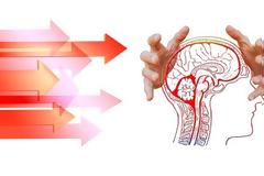 Στη θέαση και μόνο άρρωστων προσώπων ο εγκέφαλός μας ενεργοποιεί τα κύτταρα του ανοσοποιητικού μας συστήματος.