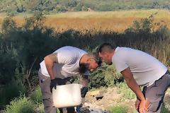 Γιαννης Τσιτουριδης : Καθημερινός Αγώνας για την Καταπολέμηση των Κουνουπιών από τον Δήμο