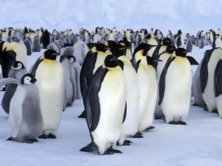 Φωτογραφία για ΟΙ 3 ΕΝΑΛΛΑΚΤΙΚΕΣ ΠΡΟΤΑΣΕΙΣ ΓΙΑ ΝΑ ΦΥΓΕΤΕ ΑΠΟ ΤΑ WINDOWS ΣΤΟ PC