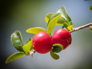 Φωτογραφία για όταν με ρώτησαν – και με την πείνα μας τι γίνεται ντίνα; αφουγκραζόμενη προσωπικά βιώματα είπα…