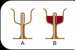  Καλοκαιρινά πειράματα. Η κούπα του Πυθαγόρα