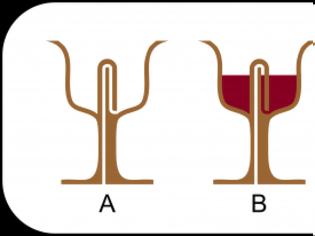 Φωτογραφία για  Καλοκαιρινά πειράματα. Η κούπα του Πυθαγόρα