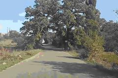 TΣΑΠΟΥΡΝΙΑ ΞΗΡΟΜΕΡΟΥ:  ΜΝΗΜΗ ΚΑΙ ΜΝΗΜΕΙΟ - Γράφει: η Μαρία Ν. Αγγέλη