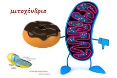 μιτοχόνδριο – με ποιητική διάθεση και ποιητική αδεία.