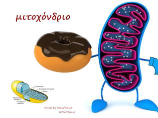 Φωτογραφία για μιτοχόνδριο – με ποιητική διάθεση και ποιητική αδεία.
