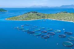 Κλιμακώνεται η σύγκρουση για το μέλλον της Avramar