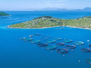 Φωτογραφία για Κλιμακώνεται η σύγκρουση για το μέλλον της Avramar