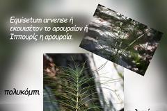 η συνάντησή μου με ένα ψιλόλιγνο παλληκάρι – το πολυκόμπι