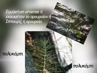 Φωτογραφία για η συνάντησή μου με ένα ψιλόλιγνο παλληκάρι – το πολυκόμπι