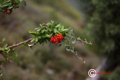 φθινόπωρο - ας τι υποδεχτούμε όπως του πρέπει!