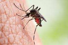 ΕΟΔΥ: 2 ακόμη θάνατοι και 9 κρούσματα ιού Δυτικού Νείλου