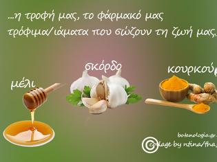 Φωτογραφία για Η τροφή μας, το φάρμακό μας – τρόφιμα/ιάματα που σώζουν τη ζωή μας – 1ον