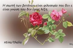 Η βοτανολογία και η σιωπή: Μια υπαρξιακή προσέγγιση