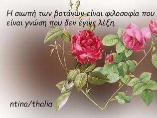 Φωτογραφία για Η βοτανολογία και η σιωπή: Μια υπαρξιακή προσέγγιση