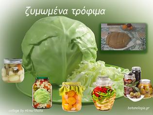 Φωτογραφία για Τα ζυμωμένα τρόφιμα προστατεύουν τον εγκέφαλο από το άγχος και τη μακροχρόνια γνωστική έκπτωση.