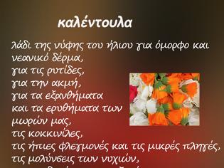 Φωτογραφία για Πως κάνουμε λάδι από τα πανέμορφα λουλούδια της καλέντουλας