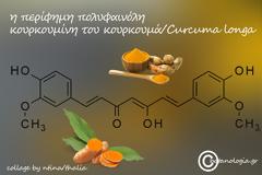 Θεραπευτικές επιπτώσεις των διαιτητικών πολυφαινoλών στη θεραπεία του καρκίνου