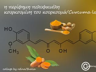 Φωτογραφία για Θεραπευτικές επιπτώσεις των διαιτητικών πολυφαινoλών στη θεραπεία του καρκίνου