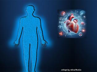 Φωτογραφία για Μαθαίνω – fascia/περιτονία, άλλο ένα μέρος του σώματός μας, άγνωστο σε πάρα πολλούς!