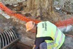 Αρετή Γριτσιπη :Καθημερινές παρεμβάσεις που αφορούν στη βελτίωση της καθημερινότητας.