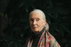 Πέθανε η κορυφαία ερευνήτρια Dr Jane Goodall