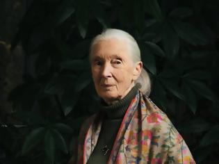 Φωτογραφία για Πέθανε η κορυφαία ερευνήτρια Dr Jane Goodall