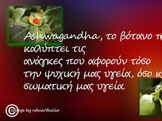 Φωτογραφία για Η βιθάνια προάγει την ορμονική ισορροπία και βελτιώνει τη σεξουαλική λειτουργία στους ηλικιωμένους άνδρες