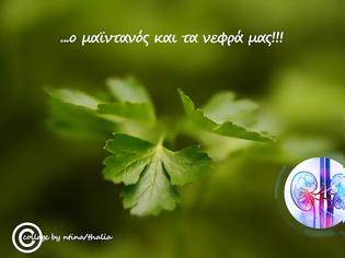 Φωτογραφία για Ο μαϊντανός και τα νεφρά μας!