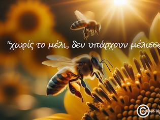 Φωτογραφία για “χωρίς το μέλι, δεν υπάρχουν μέλισσες”