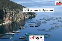 Εφημερίδα Συντακτών - SOS για τον Αμβρακικό.