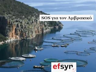 Φωτογραφία για Εφημερίδα Συντακτών - SOS για τον Αμβρακικό.