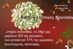 Το μαγνήσιο ξυπνά κρυμμένα βακτήρια του εντερικού συστήματος που προστατεύουν από τον καρκίνο του παχέος εντέρου!