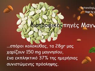 Φωτογραφία για Το μαγνήσιο ξυπνά κρυμμένα βακτήρια του εντερικού συστήματος που προστατεύουν από τον καρκίνο του παχέος εντέρου!