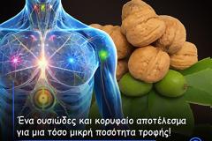 Τα πολύτιμα καρύδια – Μια χούφτα ξηροί καρποί την ημέρα μειώνει τον κίνδυνο εμφάνισης μιας ευρείας γκάμας ασθενειών