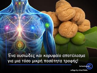 Φωτογραφία για Τα πολύτιμα καρύδια – Μια χούφτα ξηροί καρποί την ημέρα μειώνει τον κίνδυνο εμφάνισης μιας ευρείας γκάμας ασθενειών
